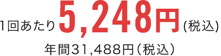 1񂠂5,248~(ō) N31,488~iōj
